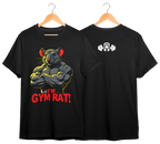 GIMNASIO #17