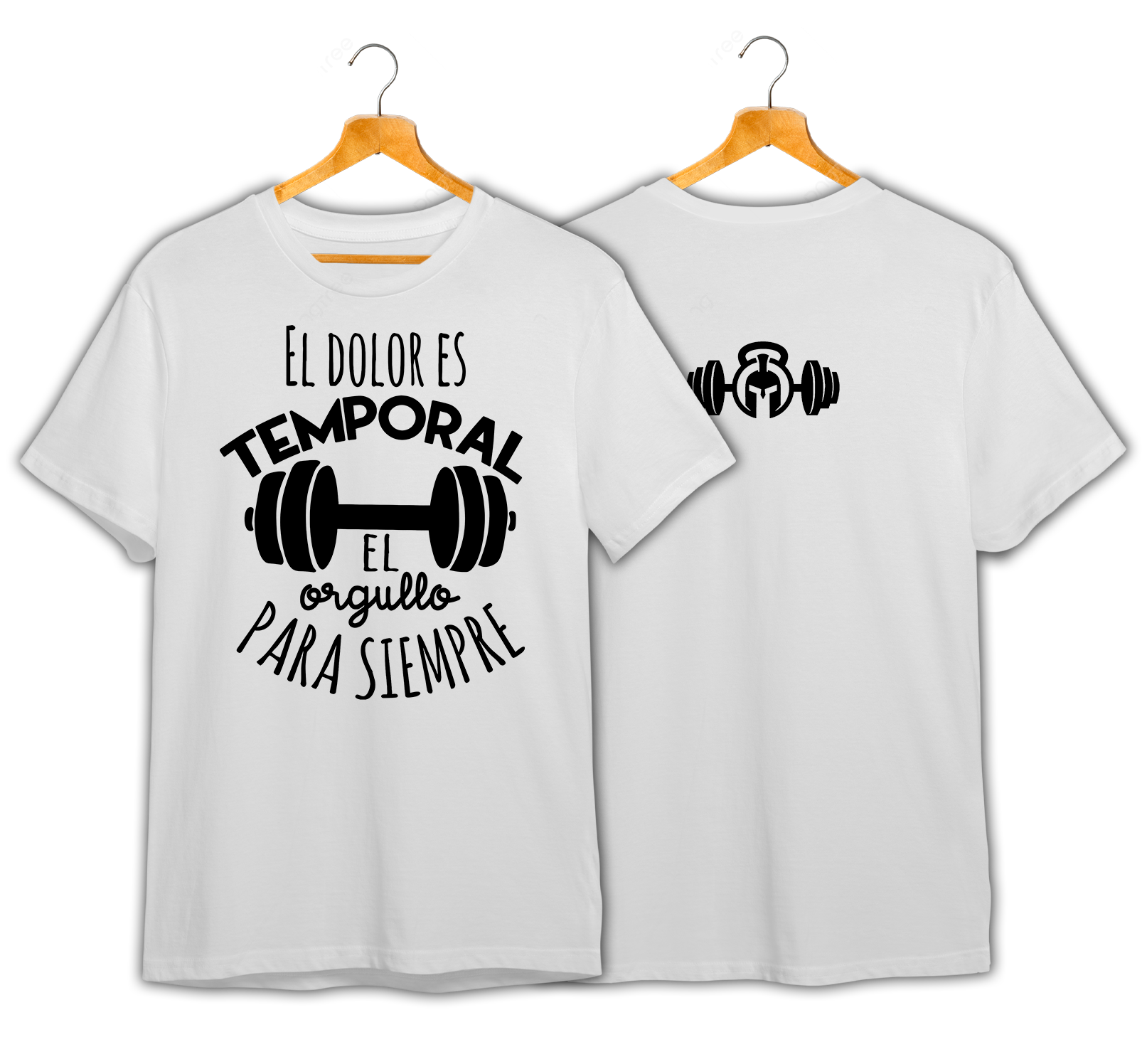 GIMNASIO #6